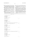 BICISTRONIC GENE TRANSFER TOOLS FOR DELIVERY OF miRNAS AND PROTEIN CODING     SEQUENCES diagram and image