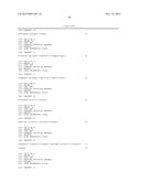 BICISTRONIC GENE TRANSFER TOOLS FOR DELIVERY OF miRNAS AND PROTEIN CODING     SEQUENCES diagram and image