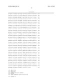 BICISTRONIC GENE TRANSFER TOOLS FOR DELIVERY OF miRNAS AND PROTEIN CODING     SEQUENCES diagram and image