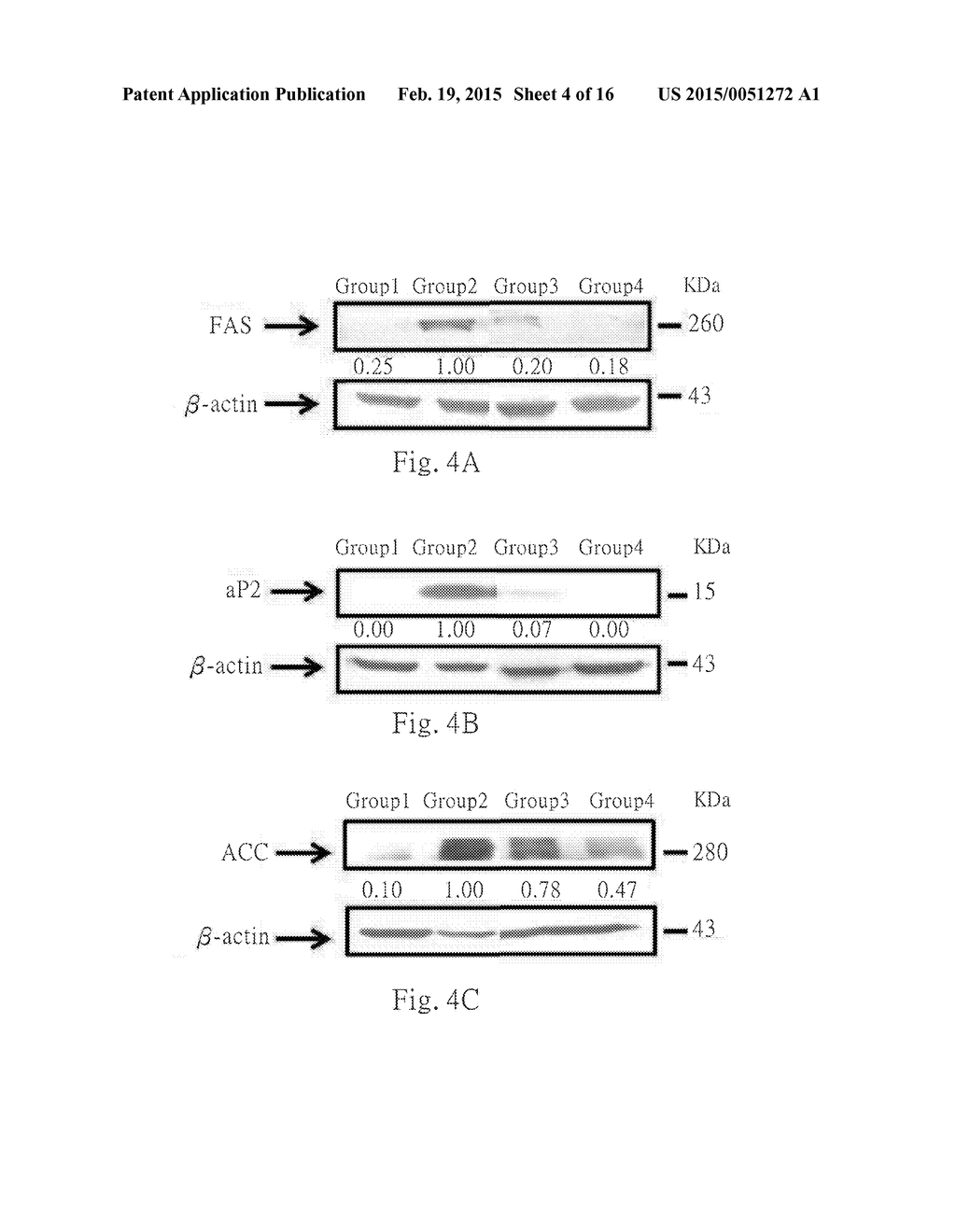 Uses of hydroxyl polymethoxylflavones (HPMFs) and derivatives thereof - diagram, schematic, and image 05