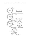 COMBINATORIAL DNA LIBRARY FOR PRODUCING MODIFIED N-GLYCANS IN LOWER     EUKARYOTES diagram and image