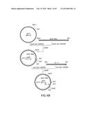 COMBINATORIAL DNA LIBRARY FOR PRODUCING MODIFIED N-GLYCANS IN LOWER     EUKARYOTES diagram and image