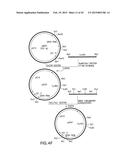 COMBINATORIAL DNA LIBRARY FOR PRODUCING MODIFIED N-GLYCANS IN LOWER     EUKARYOTES diagram and image