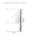 COMBINATORIAL DNA LIBRARY FOR PRODUCING MODIFIED N-GLYCANS IN LOWER     EUKARYOTES diagram and image