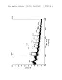 COMBINATORIAL DNA LIBRARY FOR PRODUCING MODIFIED N-GLYCANS IN LOWER     EUKARYOTES diagram and image