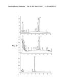 COMBINATORIAL DNA LIBRARY FOR PRODUCING MODIFIED N-GLYCANS IN LOWER     EUKARYOTES diagram and image