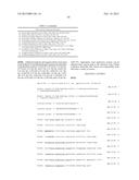 COMBINATORIAL DNA LIBRARY FOR PRODUCING MODIFIED N-GLYCANS IN LOWER     EUKARYOTES diagram and image