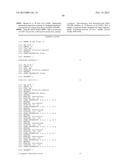 COMBINATORIAL DNA LIBRARY FOR PRODUCING MODIFIED N-GLYCANS IN LOWER     EUKARYOTES diagram and image