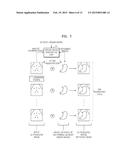 METHOD AND SYSTEM FOR TRACING TRAJECTORY OF LESION IN A MOVING ORGAN USING     ULTRASOUND diagram and image