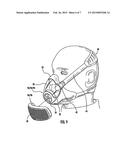 Half Facepiece diagram and image