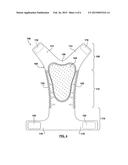 Protective shield for male genitalia diagram and image