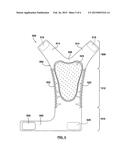 Protective shield for male genitalia diagram and image