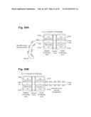 SYSTEMS, DEVICES AND METHODS FOR STYLING HAIR diagram and image