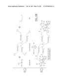 MIXED MATRIX MEMBRANES WITH EMBEDDED POLYMERIC PARTICLES AND NETWORKS AND     RELATED COMPOSITIONS, METHODS, AND SYSTEMS diagram and image