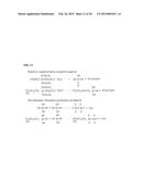 HYDROPHOBIC ORGANIC-INORGANIC COMPOSITE HOLLOW FIBER MEMBRANE AND METHOD     OF FORMING THE SAME diagram and image