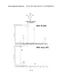 SYSTEMS AND METHODS EXTENDING THE LASERSPRAY IONIZATION MASS SPECTROMETRY     CONCEPT FROM ATMOSPHERIC PRESSURE TO VACUUM diagram and image