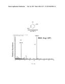 SYSTEMS AND METHODS EXTENDING THE LASERSPRAY IONIZATION MASS SPECTROMETRY     CONCEPT FROM ATMOSPHERIC PRESSURE TO VACUUM diagram and image