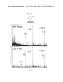 SYSTEMS AND METHODS EXTENDING THE LASERSPRAY IONIZATION MASS SPECTROMETRY     CONCEPT FROM ATMOSPHERIC PRESSURE TO VACUUM diagram and image