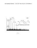 SYSTEMS AND METHODS EXTENDING THE LASERSPRAY IONIZATION MASS SPECTROMETRY     CONCEPT FROM ATMOSPHERIC PRESSURE TO VACUUM diagram and image