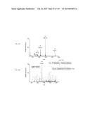 SYSTEMS AND METHODS EXTENDING THE LASERSPRAY IONIZATION MASS SPECTROMETRY     CONCEPT FROM ATMOSPHERIC PRESSURE TO VACUUM diagram and image