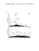 SYSTEMS AND METHODS EXTENDING THE LASERSPRAY IONIZATION MASS SPECTROMETRY     CONCEPT FROM ATMOSPHERIC PRESSURE TO VACUUM diagram and image