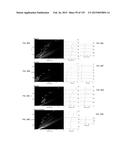 SYSTEMS AND METHODS EXTENDING THE LASERSPRAY IONIZATION MASS SPECTROMETRY     CONCEPT FROM ATMOSPHERIC PRESSURE TO VACUUM diagram and image