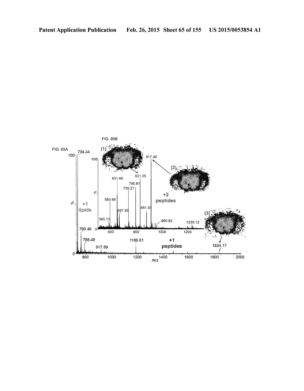 SYSTEMS AND METHODS EXTENDING THE LASERSPRAY IONIZATION MASS SPECTROMETRY     CONCEPT FROM ATMOSPHERIC PRESSURE TO VACUUM - diagram, schematic, and image 66