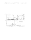 SYSTEMS AND METHODS EXTENDING THE LASERSPRAY IONIZATION MASS SPECTROMETRY     CONCEPT FROM ATMOSPHERIC PRESSURE TO VACUUM diagram and image