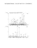 SYSTEMS AND METHODS EXTENDING THE LASERSPRAY IONIZATION MASS SPECTROMETRY     CONCEPT FROM ATMOSPHERIC PRESSURE TO VACUUM diagram and image