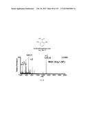 SYSTEMS AND METHODS EXTENDING THE LASERSPRAY IONIZATION MASS SPECTROMETRY     CONCEPT FROM ATMOSPHERIC PRESSURE TO VACUUM diagram and image