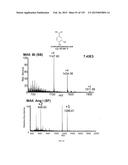 SYSTEMS AND METHODS EXTENDING THE LASERSPRAY IONIZATION MASS SPECTROMETRY     CONCEPT FROM ATMOSPHERIC PRESSURE TO VACUUM diagram and image