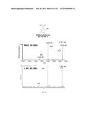 SYSTEMS AND METHODS EXTENDING THE LASERSPRAY IONIZATION MASS SPECTROMETRY     CONCEPT FROM ATMOSPHERIC PRESSURE TO VACUUM diagram and image