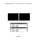 APPARATUS AND METHODS FOR ANALYSING FLUORESCENT PARTICLES diagram and image