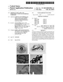 THERMALLY HEALABLE AND RESHAPABLE CONDUCTIVE HYDROGEL COMPOSITE diagram and image