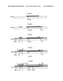 LIQUID CRYSTAL DISPLAY DEVICE COMPRISING FIRST AND SECOND ELECTRODES     WHEREIN THE SECOND ELECTRODE IS CONNECTED WITH A SOURCE ELECTRODE WITHOUT     PASSING THROUGH A FIRST INSULATING FILM diagram and image