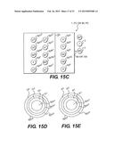 MICROCHIP WITH FARADAY CAGES AND INTERNAL FLEXIBILITY SIPES diagram and image