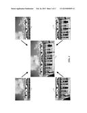 Intelligent Weighted Blending for Ultrasound Image Stitching diagram and image