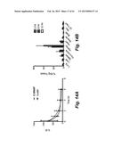 CASPASE-TRIGGERED NANO-AGGREGATION PROBES AND METHODS OF USE diagram and image