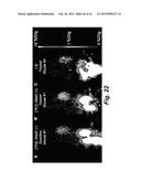 CASPASE-TRIGGERED NANO-AGGREGATION PROBES AND METHODS OF USE diagram and image