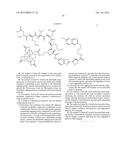 CASPASE-TRIGGERED NANO-AGGREGATION PROBES AND METHODS OF USE diagram and image