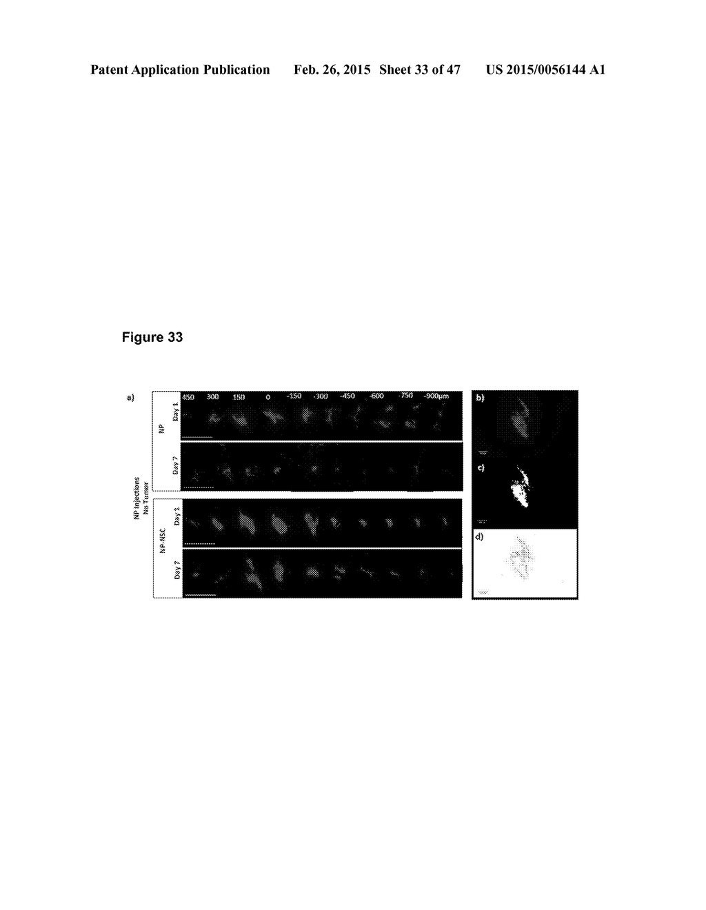 ENCAPSULATED DIAGNOSTICS AND THERAPEUTICS IN NANOPARTICLES - CONJUGATED TO     TROPIC CELLS AND METHODS FOR THEIR USE - diagram, schematic, and image 34