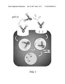 DRUG CONTAINING CARRIER INTO CELL FOR FORMING IMMUNE COMPLEX diagram and image