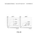 DRUG CONTAINING CARRIER INTO CELL FOR FORMING IMMUNE COMPLEX diagram and image