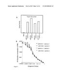 THERAPEUTIC CANINE IMMUNOGLOBULINS AND METHODS OF USING SAME diagram and image