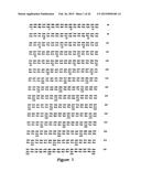 Protein Belonging to the TNF Superfamily Involved in Signal Transduction,     Nucleic Acids Encoding Same and Methods of Use Thereof diagram and image