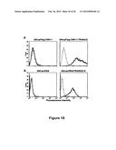 Protein Belonging to the TNF Superfamily Involved in Signal Transduction,     Nucleic Acids Encoding Same and Methods of Use Thereof diagram and image