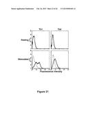 Protein Belonging to the TNF Superfamily Involved in Signal Transduction,     Nucleic Acids Encoding Same and Methods of Use Thereof diagram and image