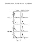 Protein Belonging to the TNF Superfamily Involved in Signal Transduction,     Nucleic Acids Encoding Same and Methods of Use Thereof diagram and image