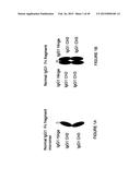 IMMUNOGLOBULIN CONSTANT REGION FC RECEPTOR BINDING AGENTS diagram and image