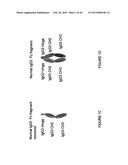 IMMUNOGLOBULIN CONSTANT REGION FC RECEPTOR BINDING AGENTS diagram and image